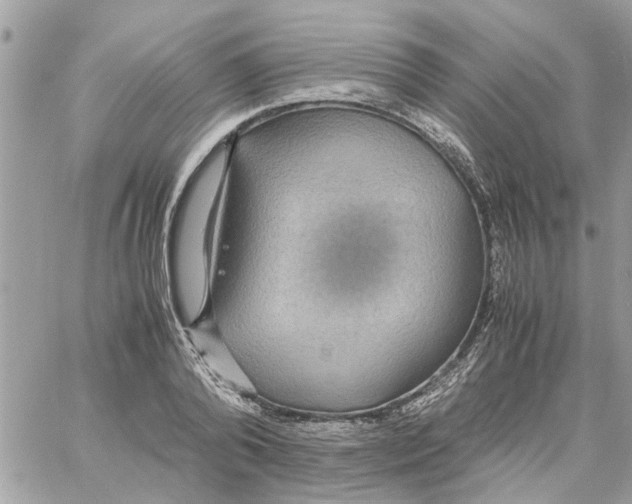 X0000058130792200510212044