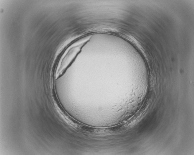 X0000058130795200510212044