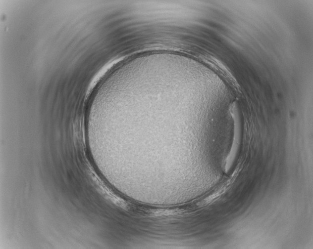 X0000058130796200510212044