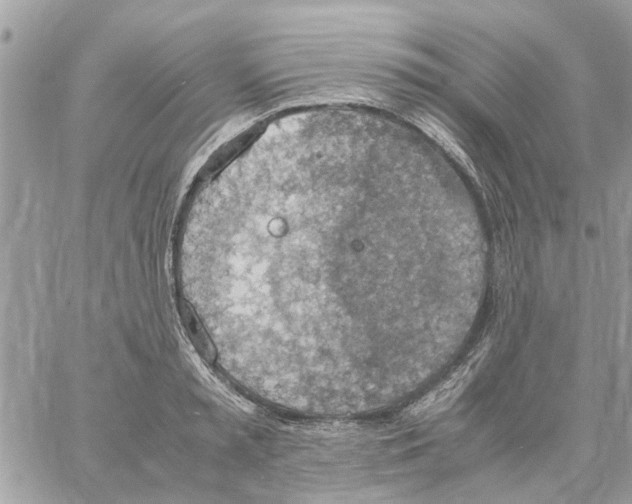 X0000058130797200510212044