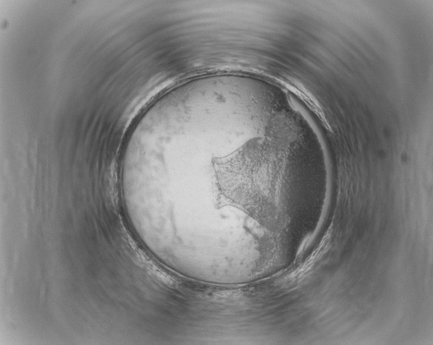 X0000058130798200510212044