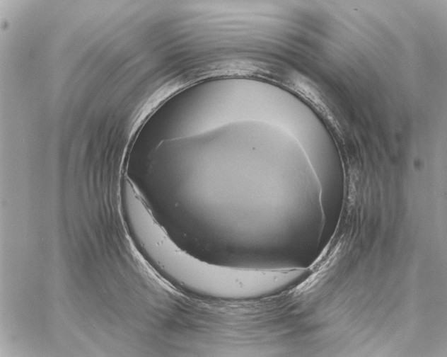 X0000058130802200510212044