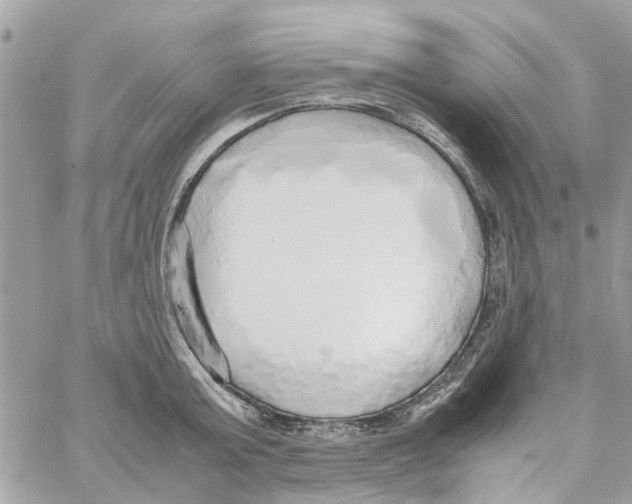 X0000058130803200510212044