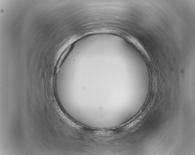 X0000058130805200510212044