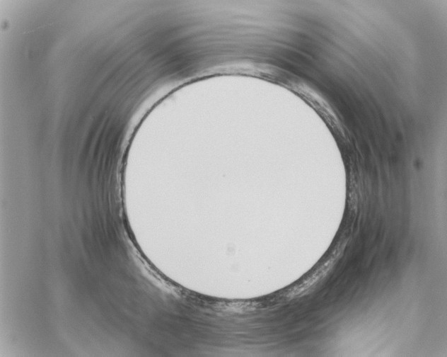 X0000058130808200510212044