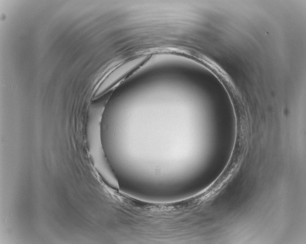 X0000058130809200510212044