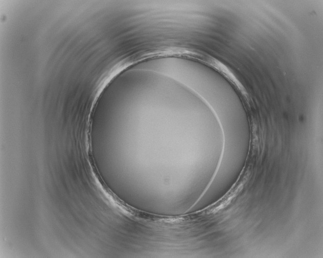 X0000058130810200510212044