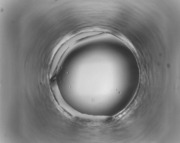 X0000058130813200510212044