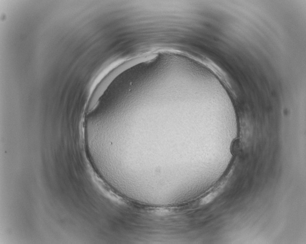 X0000058130814200510212044