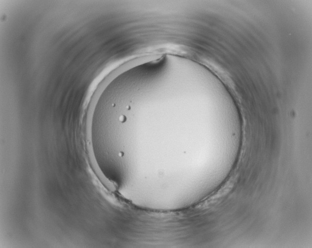 X0000058130816200510212044