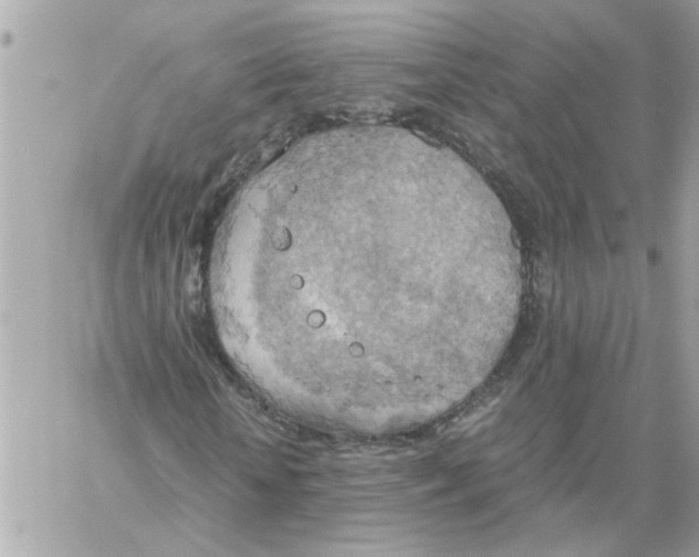 X0000058130818200510212043