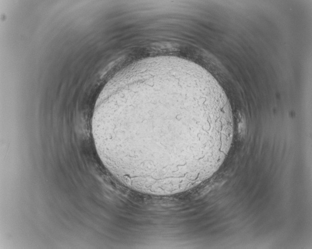 X0000058130819200510212043