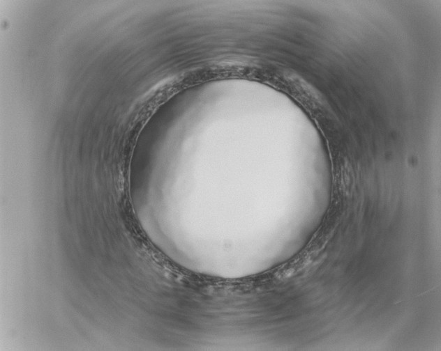 X0000058130821200510212043