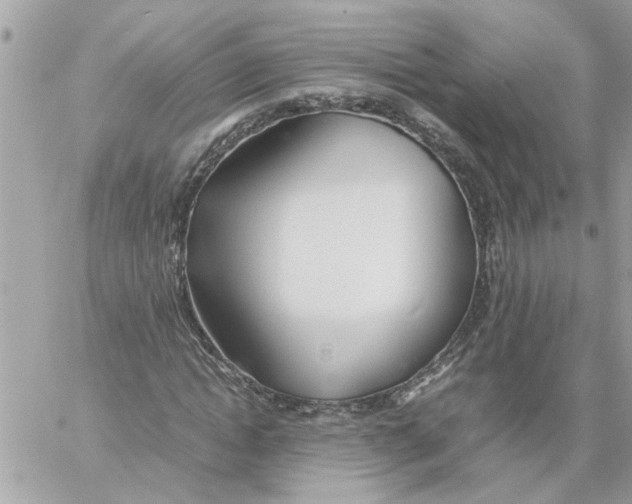 X0000058130822200510212043