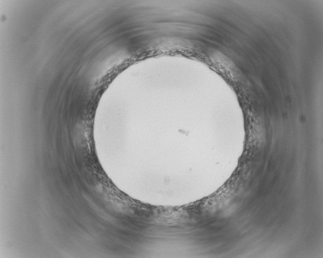 X0000058130824200510212043