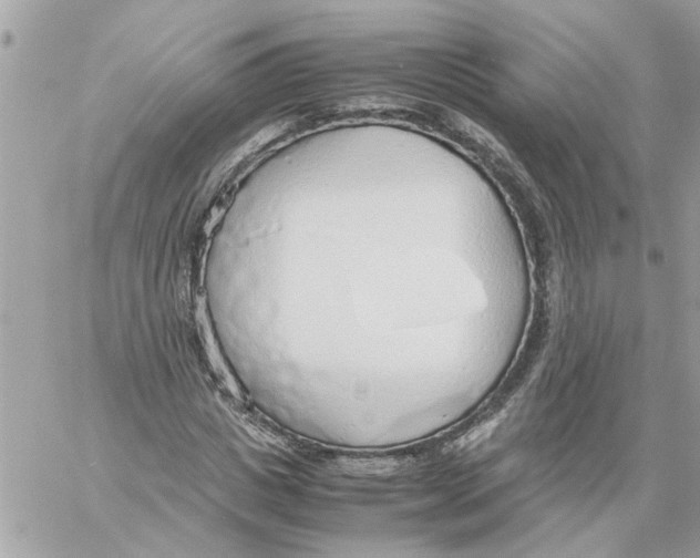 X0000058130825200510212043