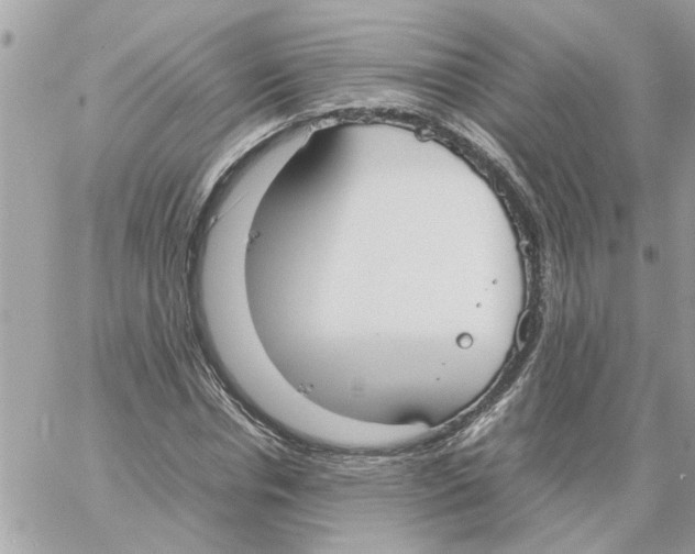 X0000058130826200510212043