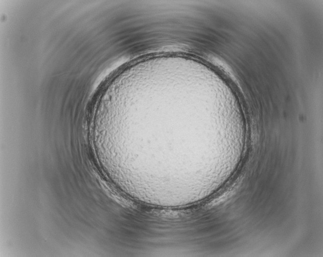 X0000058130827200510212043