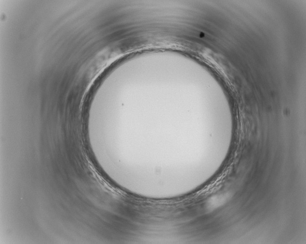 X0000058130828200510212043