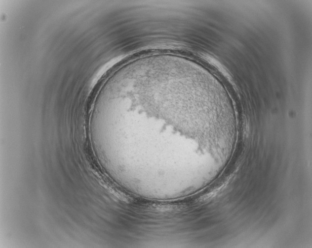 X0000058130829200510212043