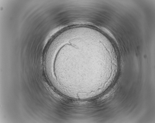 X0000058130831200510212043