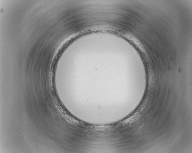 X0000058130832200510212043