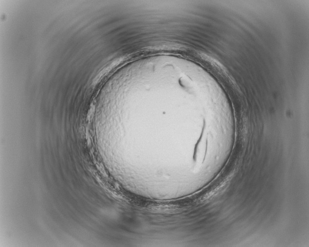 X0000058130833200510212043