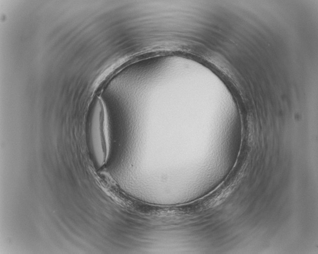 X0000058130834200510212043