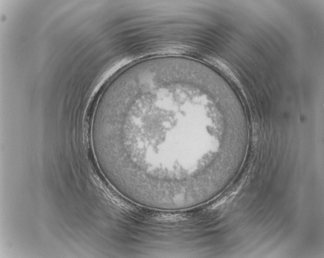 X0000058130835200510212043