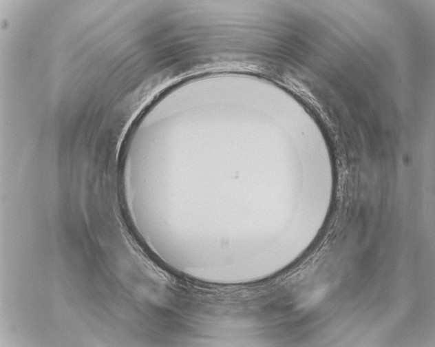 X0000058130836200510212043