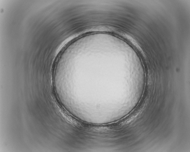 X0000058130837200510212043