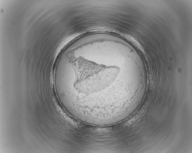 X0000058130839200510212043