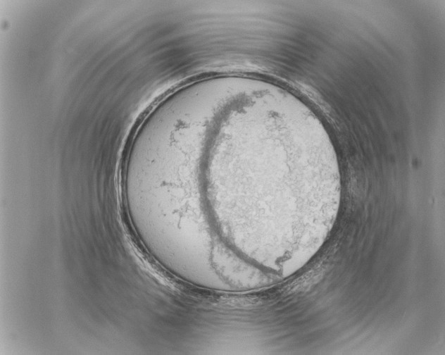 X0000058130840200510212043