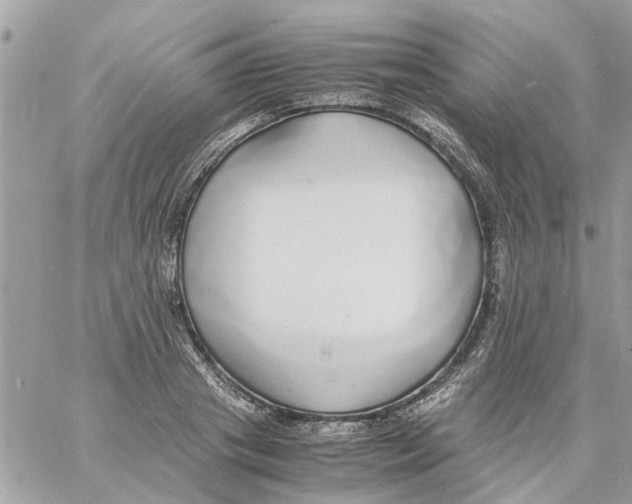 X0000058130841200510212044