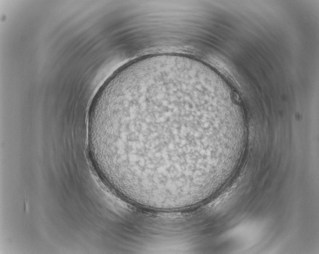 X0000058130844200510212044