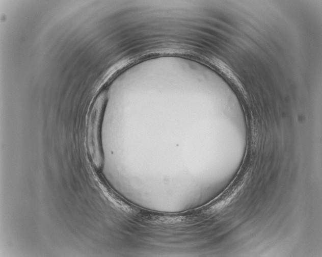 X0000058130845200510212044