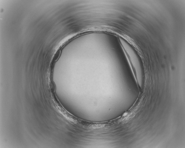 X0000058130846200510212044