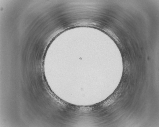 X0000058130848200510212044