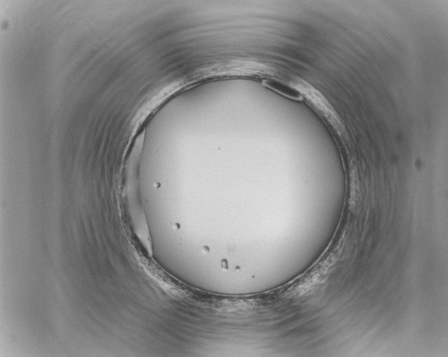 X0000058130850200510212044