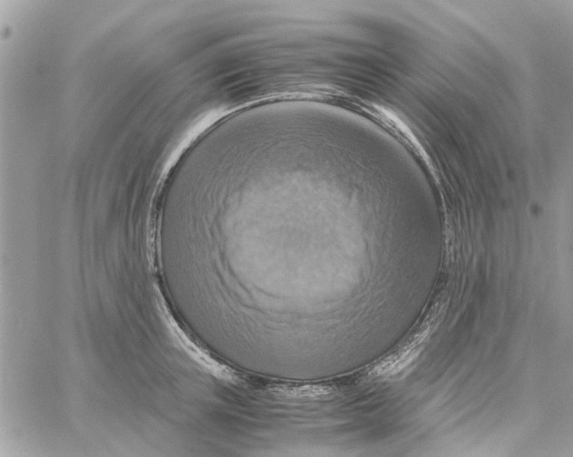 X0000058130851200510212044