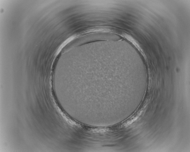 X0000058130853200510212044