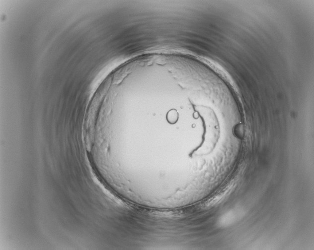 X0000058130855200510212044