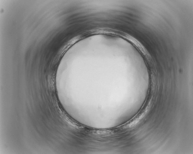 X0000058130857200510212044