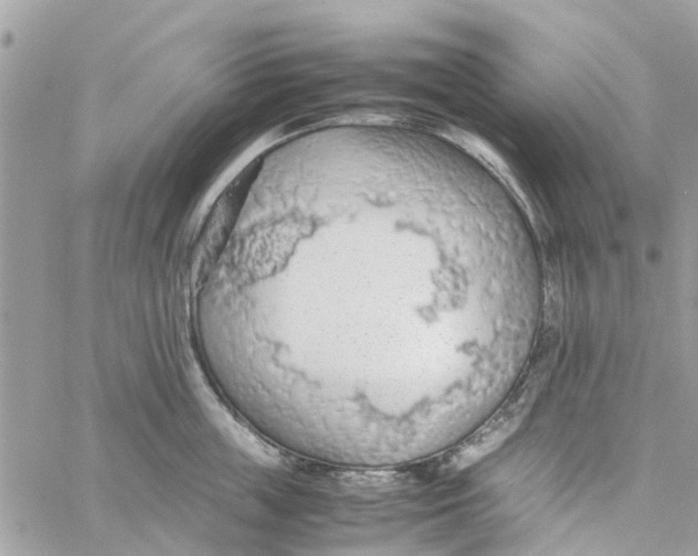 X0000058130859200510212044