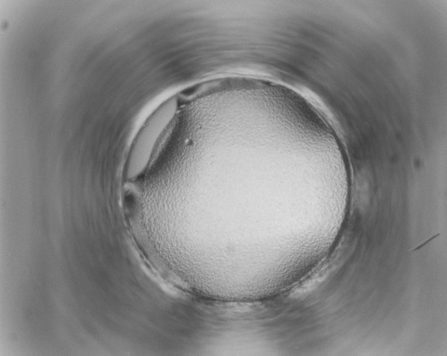 X0000058130862200510212044