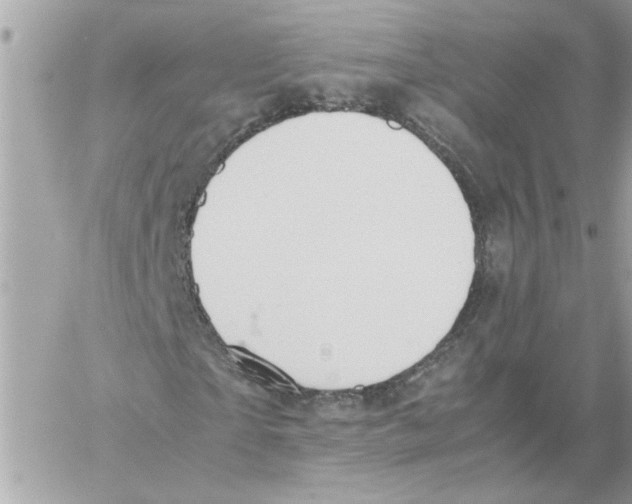 X0000058130865200510212043