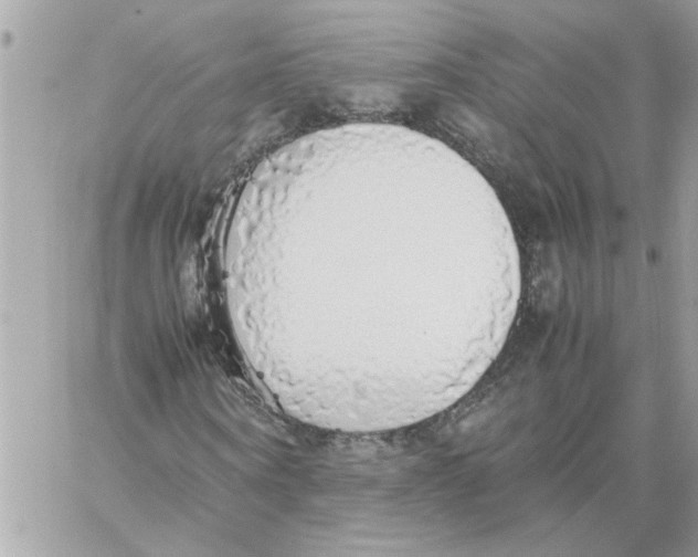 X0000058130866200510212043