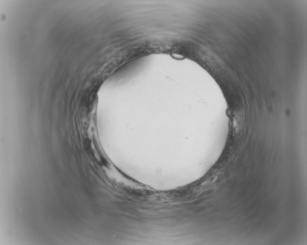 X0000058130867200510212043