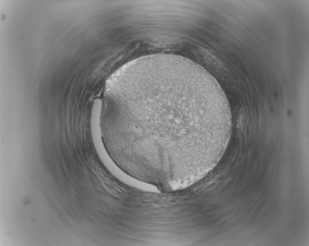 X0000058130868200510212043