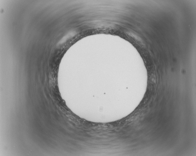 X0000058130869200510212043